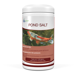 Aquascape Pond Salt #99416